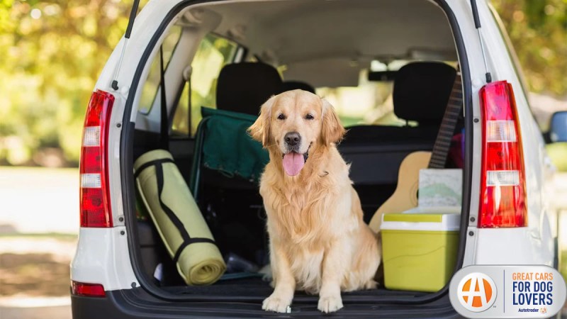 Best Dog Friendly Electric Cars