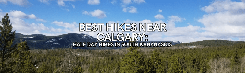 Best Dog Friendly Hikes Kananaskis