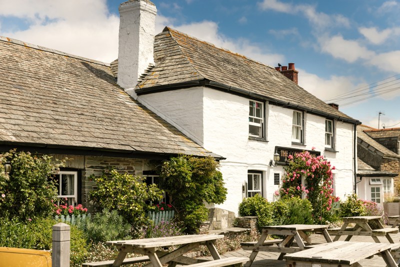 Best Dog Friendly Pubs