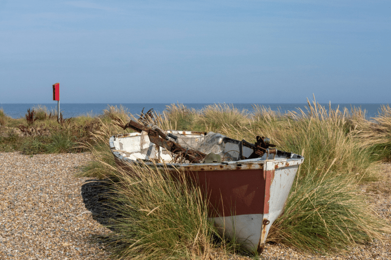 Best Dog Friendly Seaside Towns Uk