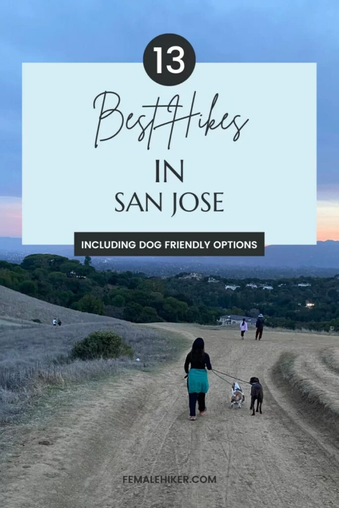 Best Dog Friendly Trails