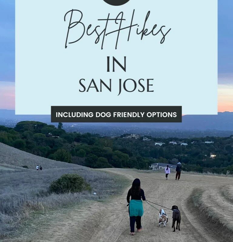 Best Dog Friendly Trails