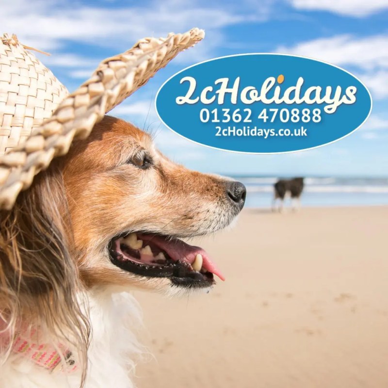 Best Dog Friendly Uk Holidays