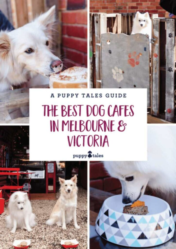 Best Dog Friendly Walks Melbourne