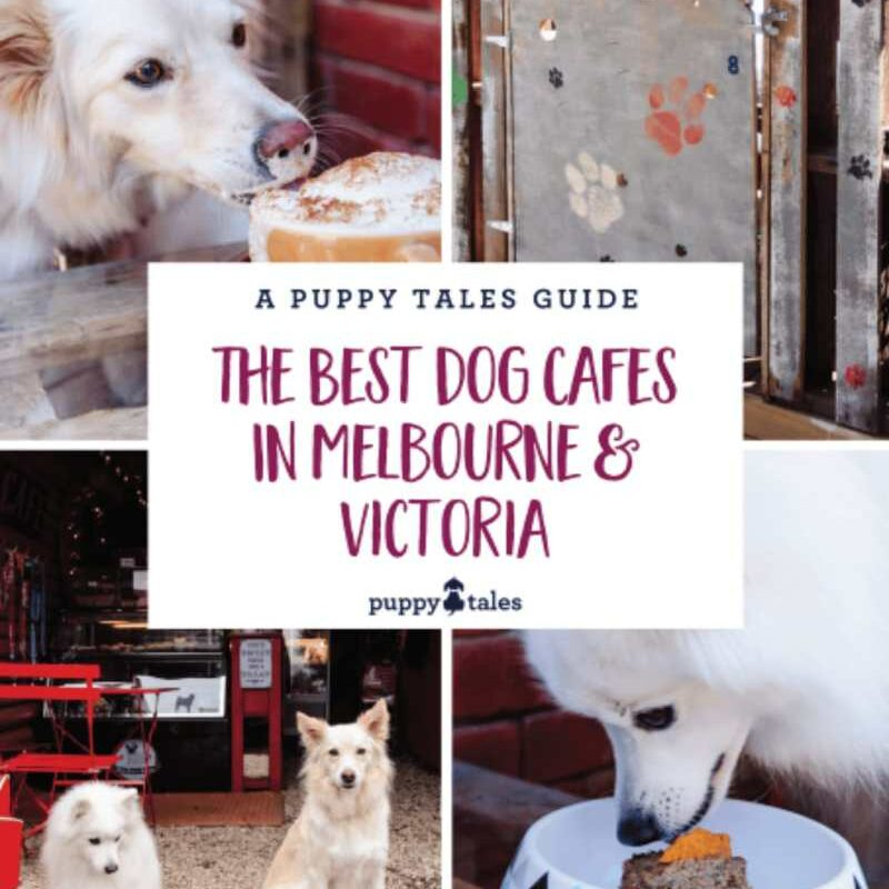 Best Dog Friendly Walks Melbourne