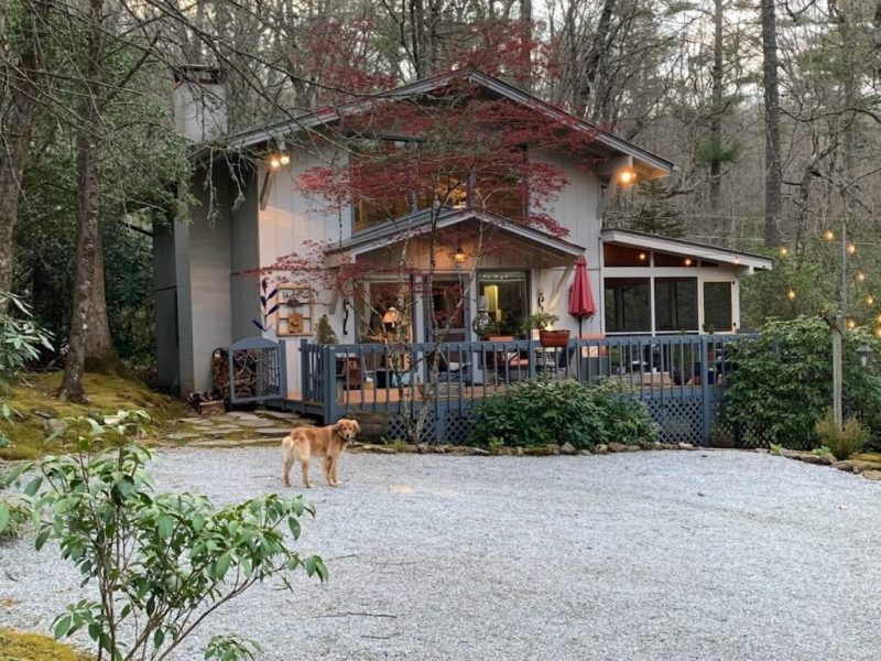 Dog Friendly Cabin Rentals