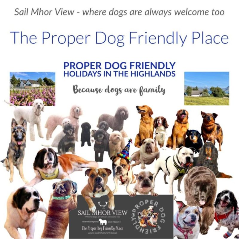 Dog Friendly Holidays Family