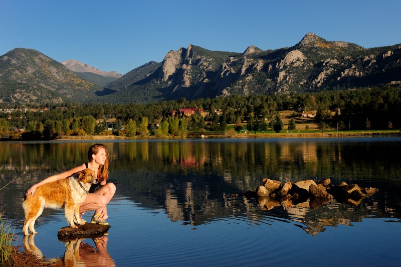 Dog Friendly Lodging Near June Lake Ca