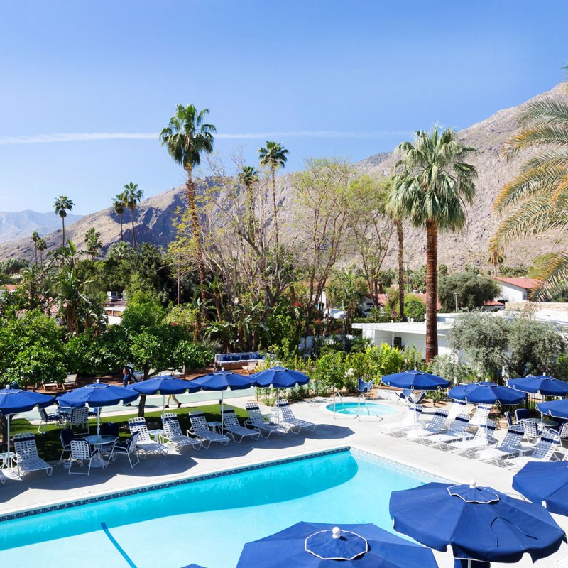 Dog Friendly Resorts Palm Springs