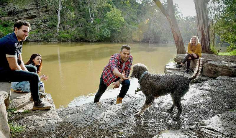 Dog Friendly Trips Victoria