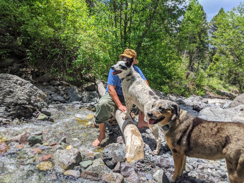 Dog Friendly Vacations Colorado