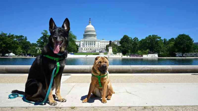 Dog Friendly Vacations Oklahoma