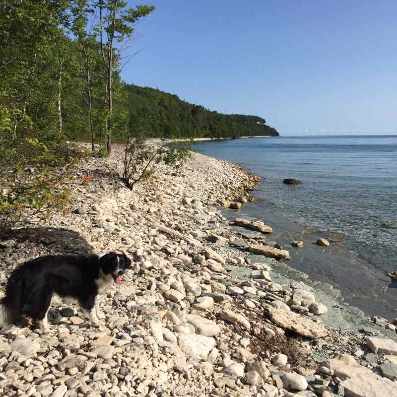 Ontario Vacations With Dogs