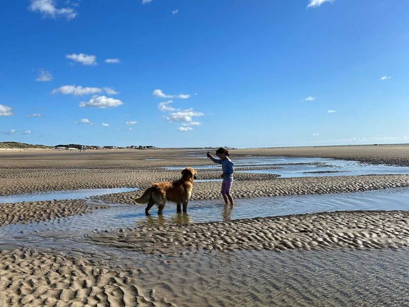 Best Dog Friendly Beaches Kent