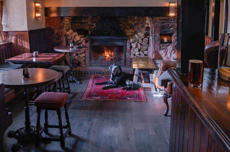 Best Dog Friendly Gastro Pubs With Rooms