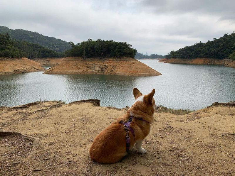 Best Dog Friendly Hikes In Us