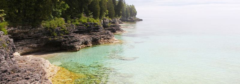 Best Dog Friendly Resorts In Door County