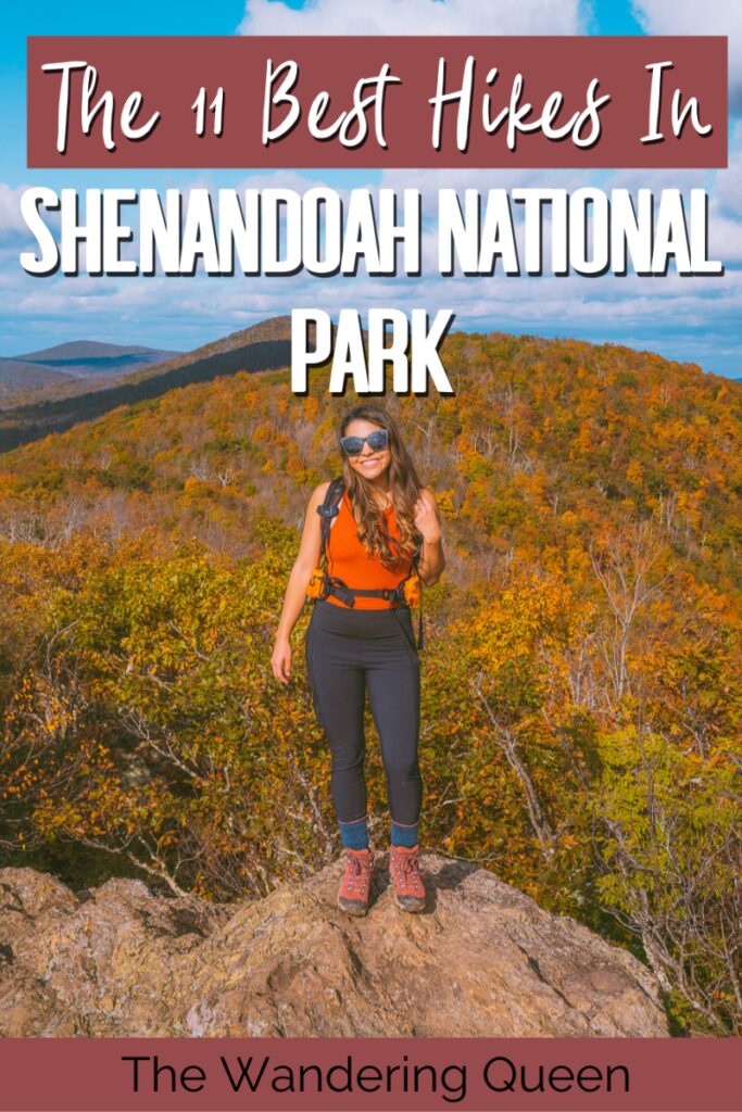 Best Dog Friendly Trails Shenandoah National Park