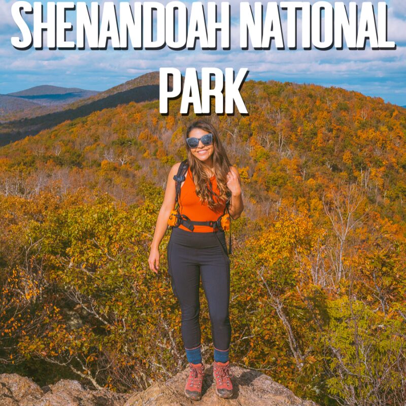 Best Dog Friendly Trails Shenandoah National Park