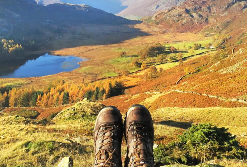 Best Dog Friendly Walks Lake District