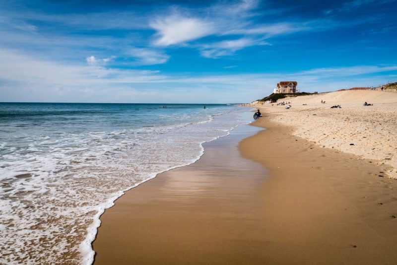 Dog Friendly Beaches Near Me In Summer