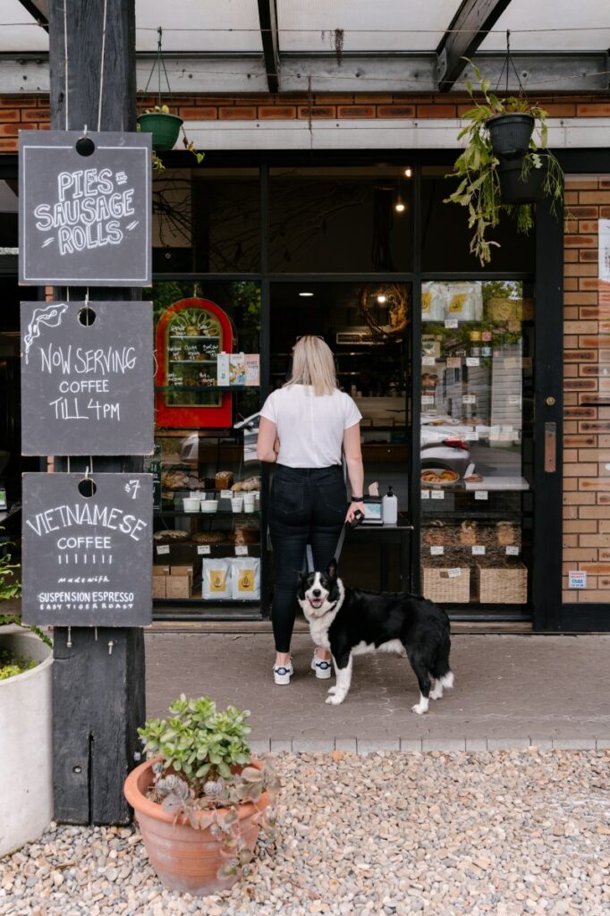 Dog Friendly Cafes And Pubs Near Me