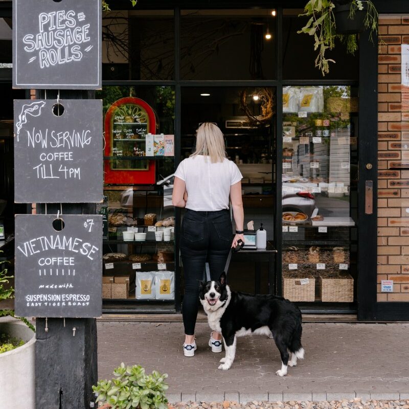 Dog Friendly Cafes And Pubs Near Me