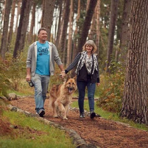 Dog Friendly Holidays Uk 2024