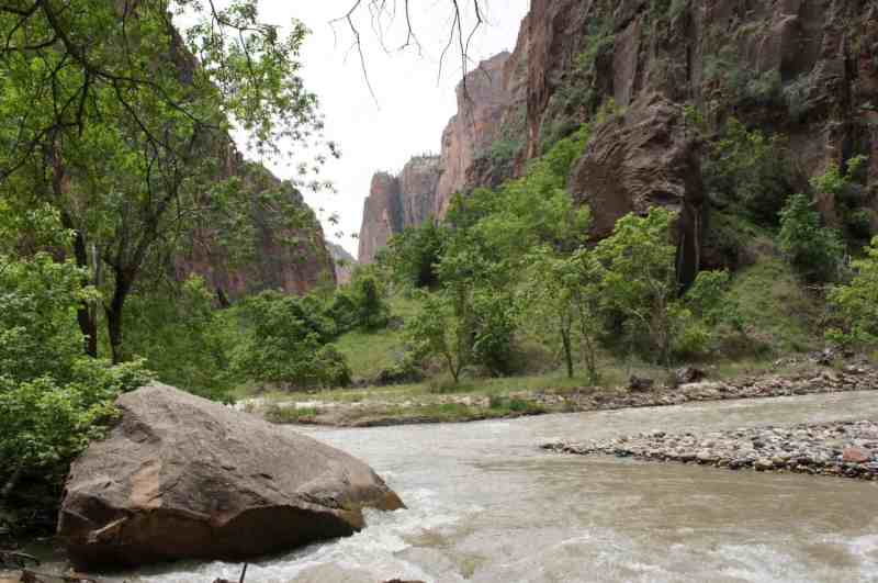 Dog Friendly Lodging Zion National Park