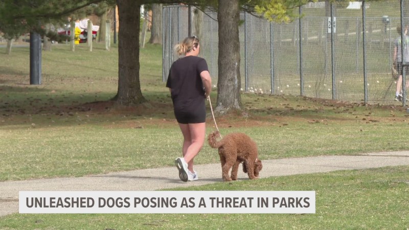 Dog Friendly Parks Near Me Now