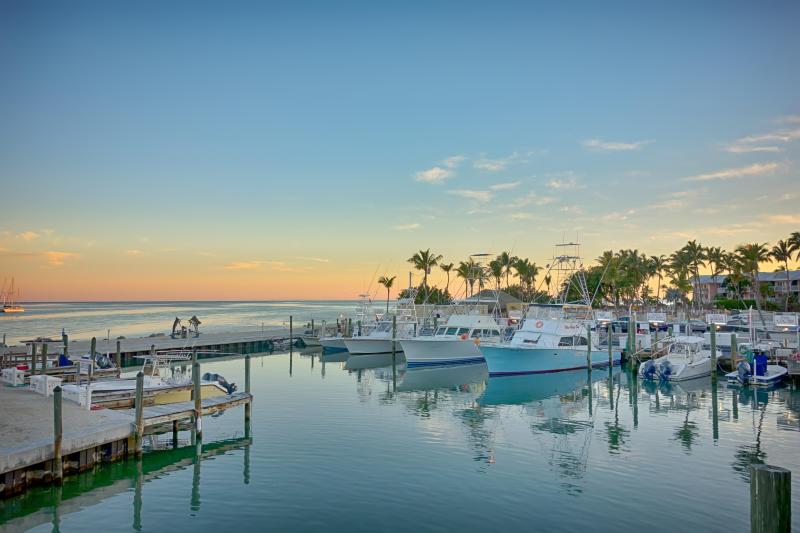 Dog Friendly Resorts Key Largo