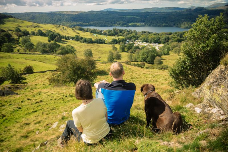 Dog Friendly Trips Uk