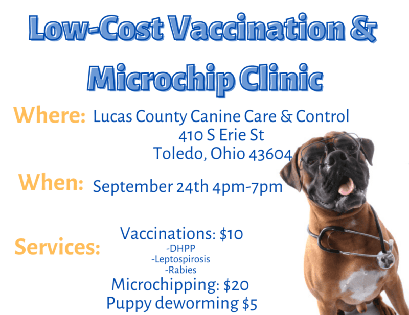 Dog Vaccines Near Me Cheap