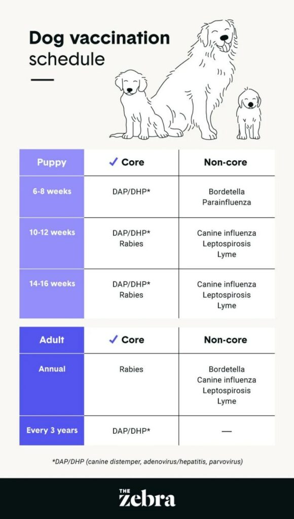 Dog Vaccines Near Me Mobile