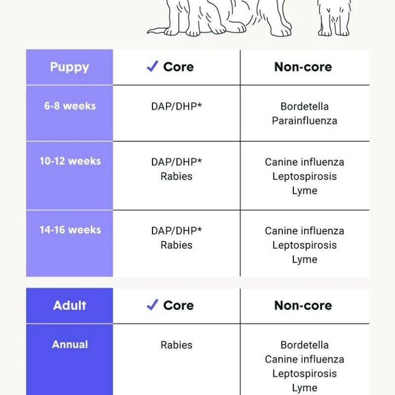 Dog Vaccines Near Me Mobile