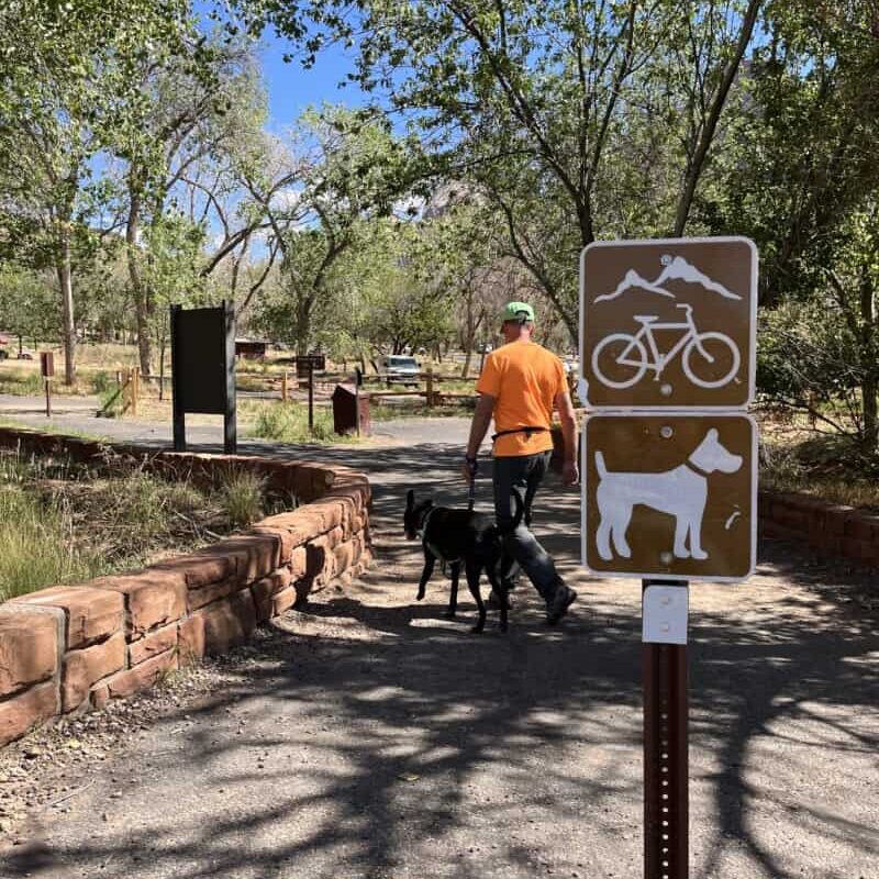 Pet Friendly Lodging Zion